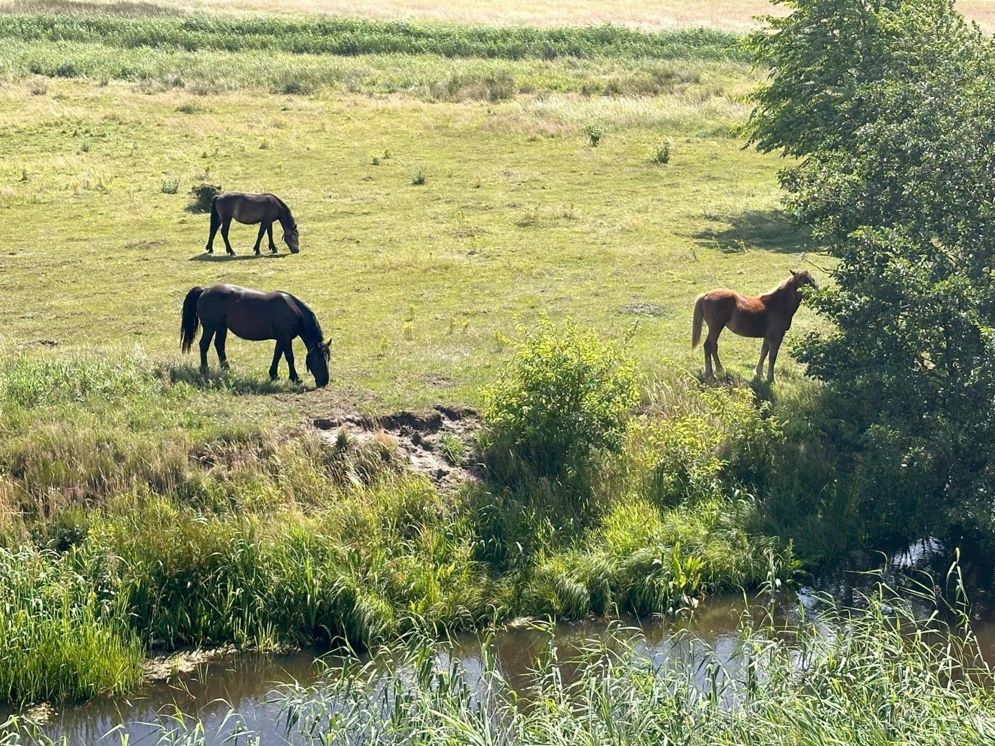 Appartamento Laba Na Milej Łeba Esterno foto